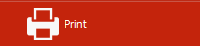 1. Print Application button