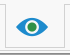 10. Viewing Options tab